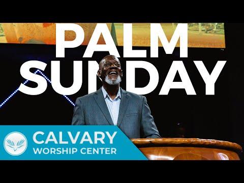 The Visitation | Palm Sunday | Luke 19:37-44 | Pastor Al Pittman