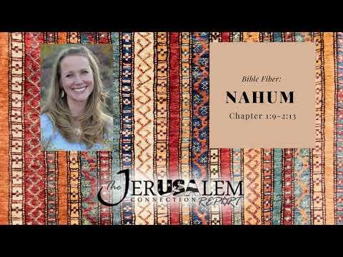 Bible Fiber #23: Nahum 1:9-2:13