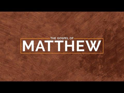 Daily Connect: Probing Theological Questions (Matthew 22:15-33) - August 22, 2022