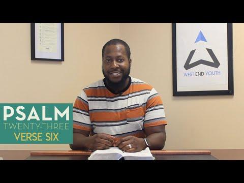 Psalm 23:6  Surely Goodness and Mercy // Bible Study Devotional series with Pastor Steph
