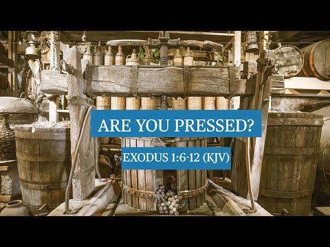 Are You Pressed? - Exodus 1:6-12 (KJV)