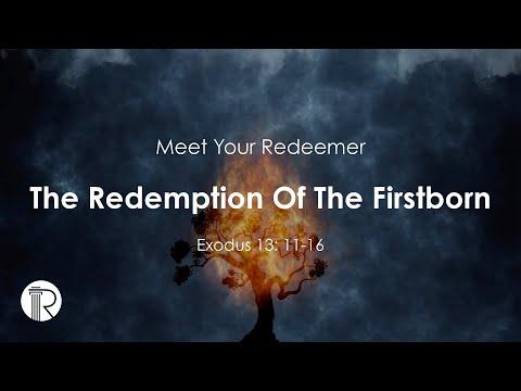 The Redemption of the Firstborn | Exodus 13:11-16