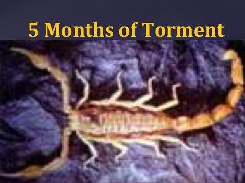 5 Months of Torment (Seek Death/Revelation 9:6)
