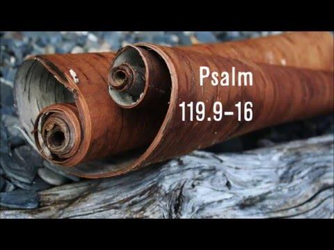 5-Minute Christian Meditation on Psalm 119:9-16