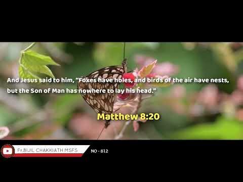 Matthew 8:20 | Daily Word_08/08/2022 | Whatsapp Status