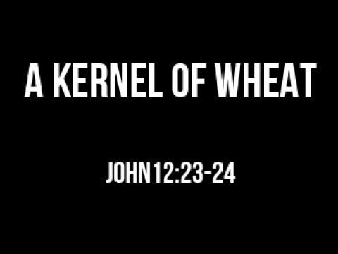 A KERNEL OF WHEAT (John 12:24-25) Chords and Lyrics