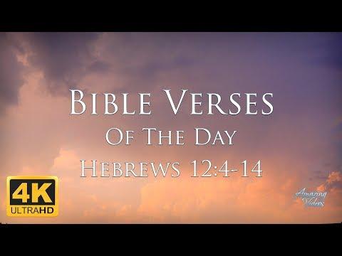 Bible Verses Of The Day: Hebrews 12:4-14 NKJV Inspiring & Encouraging Devotional Video & Music