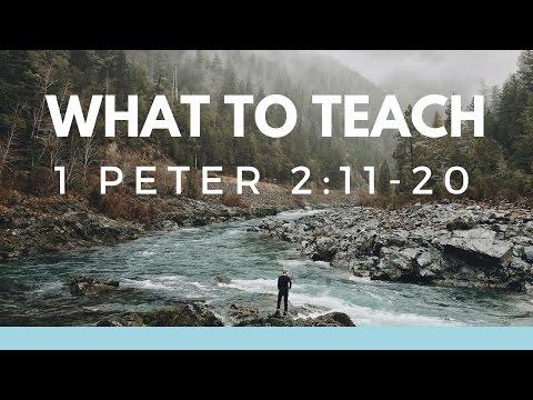 1 Peter 2:11-20