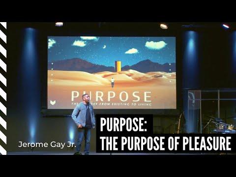 Purpose 2: The Purpose of Pleasure (Ecclesiastes 2:1-26)