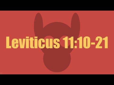 Leviticus 11:10-21