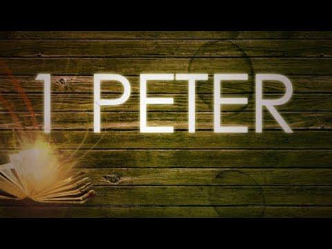 The Spirits in Prison (1 Peter 3:18-22)