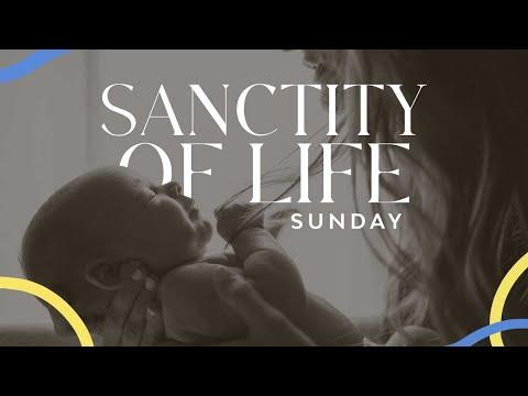 Sanctity Of Life Sunday - Psalm 139:1-24