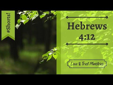 The Word Is Alive! | Hebrews 4:12 | June 17th | Rise and Shine Shorts