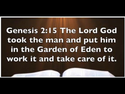 Genesis 2:15 - Your Garden of Eden Is Perfect - Work It!