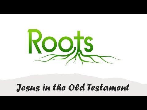 Sunday @SPC  - Roots, Jesus and the Old Testament. Luke 24:13-29. Rev Albin Rankin
