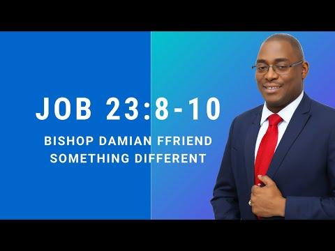 The Teacher is Always Silent During the Test | Job 23:8-10 | Something Different