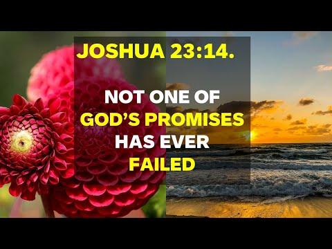 Joshua 23:14. Not One Of God's Promises Has Ever Failed.