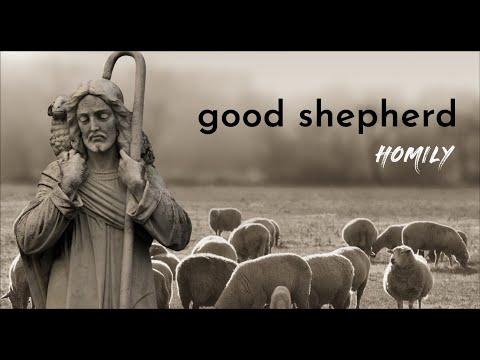 Homily for the Fourth Sunday of Easter, GOOD SHEPHERD SUNDAY Year C ( May 8, 2022 ) | John 10:27-30