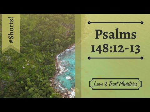 Let All People Praise His Name! | Psalms 148:12-13 | July 27th | Rise and Shine Shorts