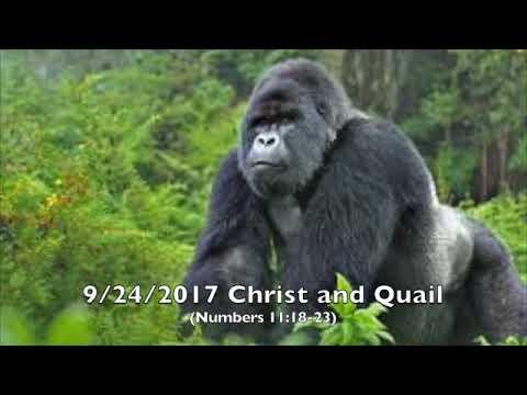 9/24/2017 Christ and Quail (Numbers 11:18-23)