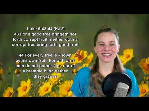 Luke 6:43-44 KJV - Words of Jesus - Scripture Songs
