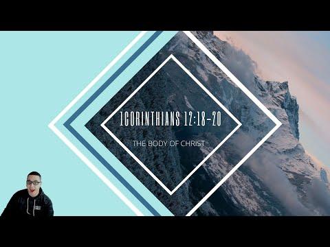1 Corinthians 12:18-20 | The Body of Christ