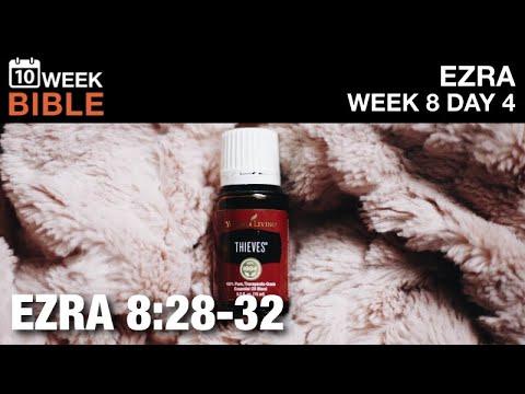 Bandits | Ezra 8:28-32 | Week 8 Day 4 Study of Ezra