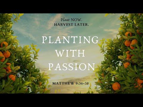 Planting With Passion | Matthew 9:36-38 | Pastor Walter Bowers Jr.