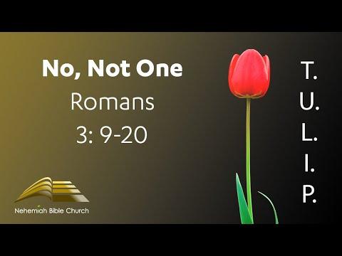 T.U.L.I.P. - No, Not One: Romans 3:9-20 (07.05.20)