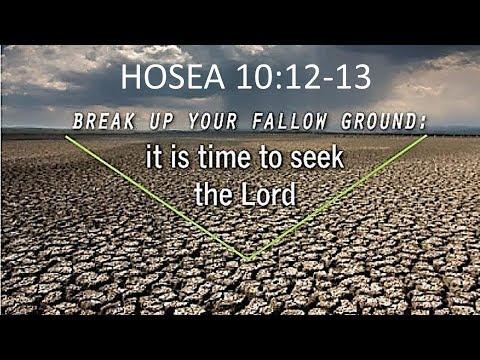 It Is Time to Till The Soil    Hosea 10:12-13   Oct 13, 2019