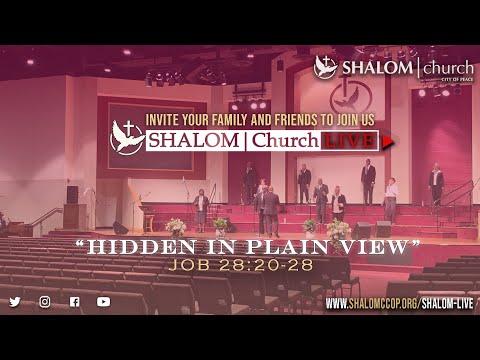 Hidden in Plain View  Job 28:20-28