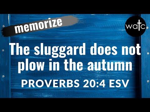 Proverbs 20:4 ESV (laziness, sloth, poverty): Read, recite, and memorize Bible verses