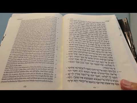 Daily Bible Reading - Exodus 3:16 - 6:1