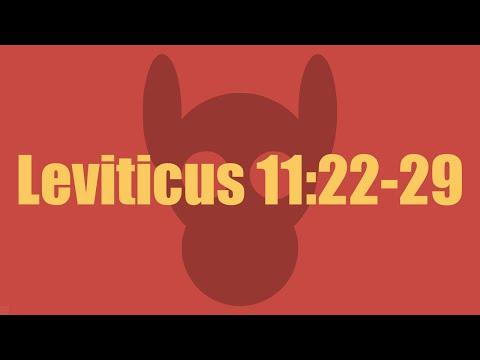 Leviticus 11:22-29