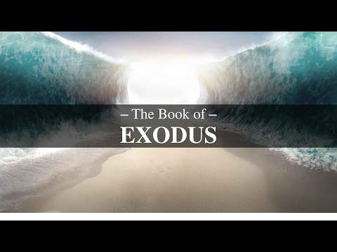 The Picture of Jesus in Exodus - Sunday, August 28, 2022, Exodus 1:1-14, Pastor Sam DeVille