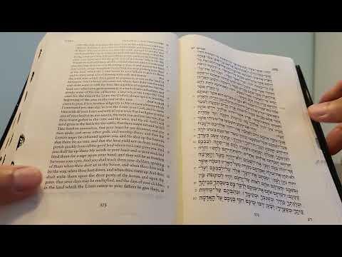 Daily Bible Reading - Deuteronomy 10:1 - 11:27