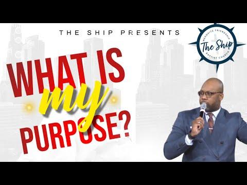 What is my purpose? (1 Timothy 2:3-6), (Romans 12:1-2), (John 13:34-35)