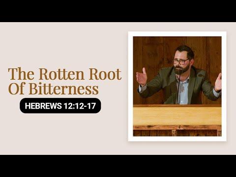 The Rotten Root Of Bitterness | Hebrews 12:12-17