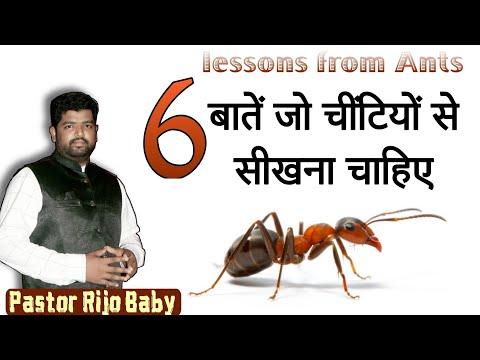 6 Lessons from Ants ( यह 6 बातें चींटियों से सीखें) Bible study (Proverbs 6:6-8) Pastor Rijo Baby