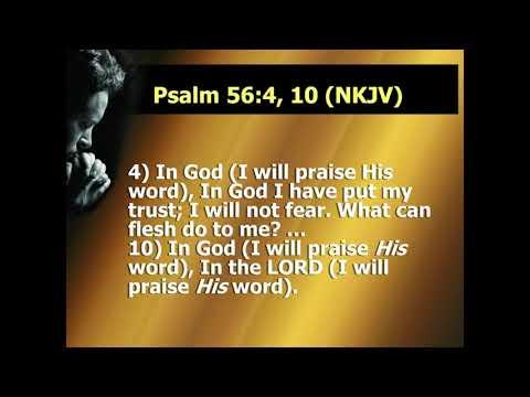 Psalm 56:10 In God I will Praise His Word