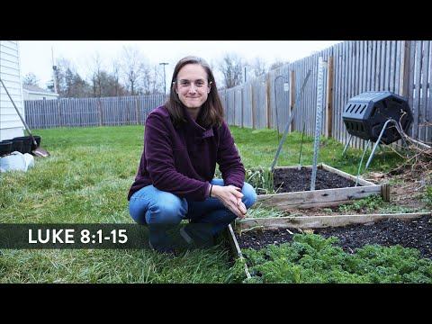 The Secret to Good Soil  ||  Luke 8:1-15  || Lent ep. 28