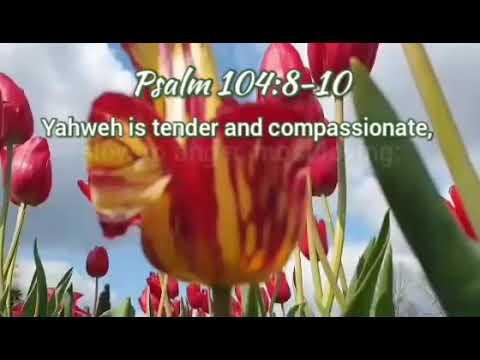 The Holy Bible - Psalm 104:8-10