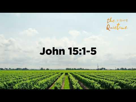 John 15: 1-5 Harp Worship by Winny & Winna