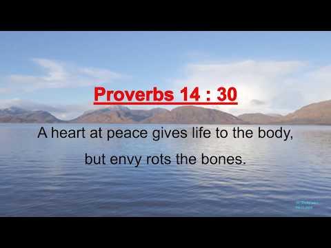 Proverbs 14 : 30 - A heart at peace gives life - w accompaniment (Scripture Memory Song)