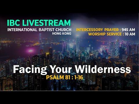 IBC Sermon LiveStream_Facing Your Wilderness (Psalms 81:1-16)_16Aug2020