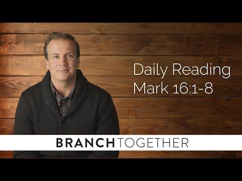 Daily Reading - Mark 16