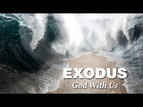 Revive Church FP | "Common Law Love"  Exodus 21:28-22:15 | 5/23/21