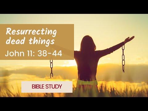 Bible study: John 11: 38-44
