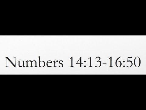 Reading of the KJV Bible (Numbers 14:13-16:50)