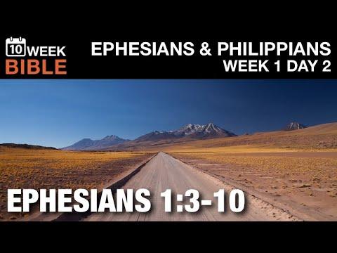 Predestined? | Ephesians 1:3-10 | Week 1 Day 2 Study of Ephesians